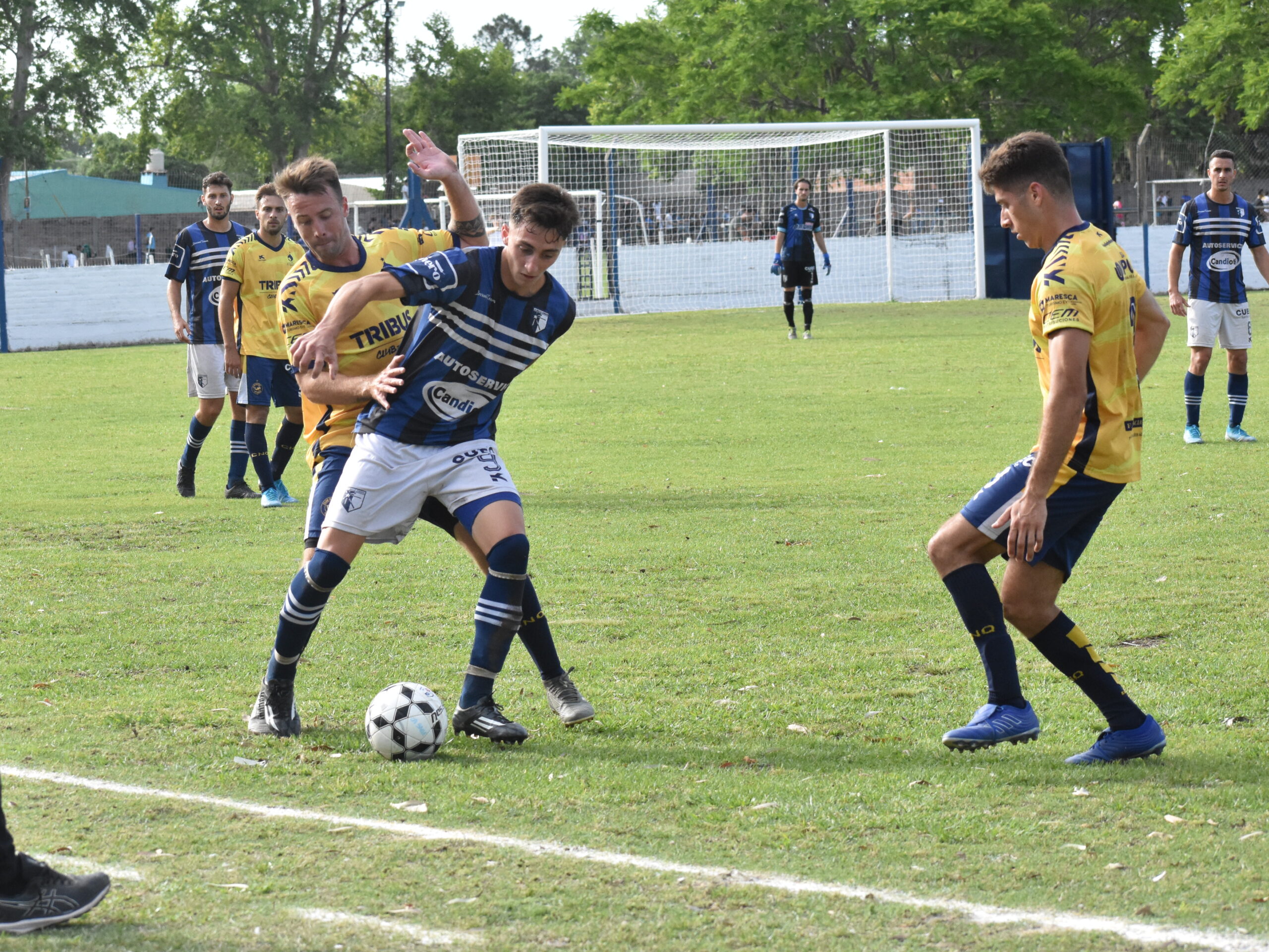 LSF: La definición en Primera quedó para la última fecha