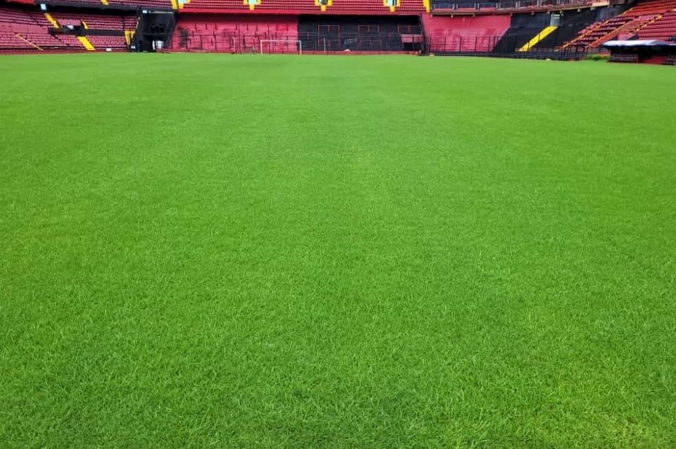 Colón prepara el Brigadier López para el clásico: Mirá cómo está el campo de juego