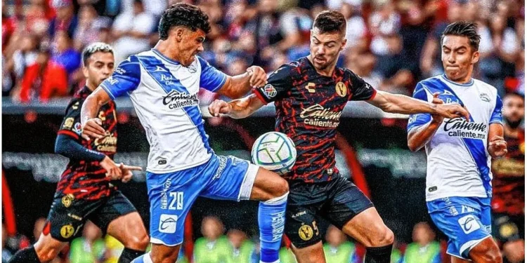 ¿Qué le pasa al equipo de Federico Lértora en México?