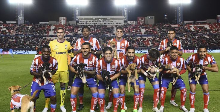 Colón jugaría un amistoso internacional en diciembre