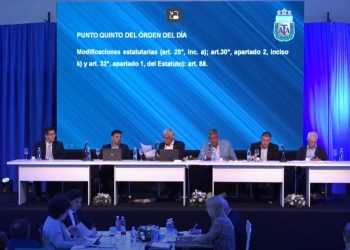 Se confirmó el nuevo esquema de descensos para la Liga Profesional