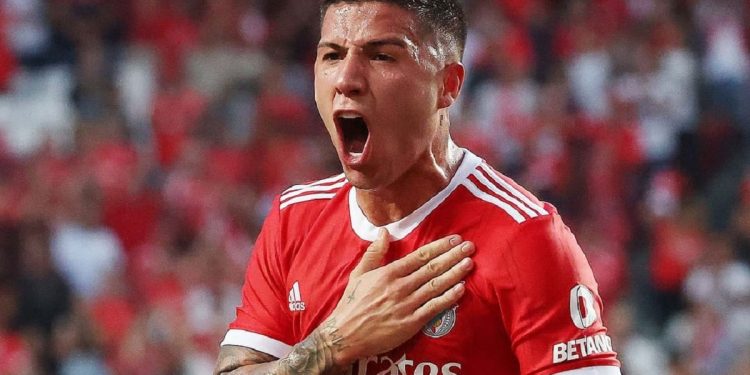 Benfica rechazó una increíble oferta por Enzo Fernández