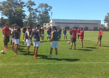 Saralegui tiene los 11 de Colón para medirse ante Vélez
