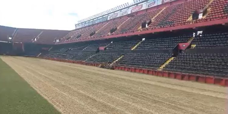 Video: Colón prepara el césped del Brigadier López para el invierno