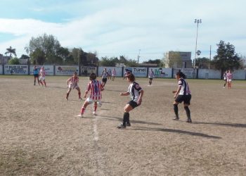 Todo lo que tenes que saber sobre los Torneos Femeninos de LSF