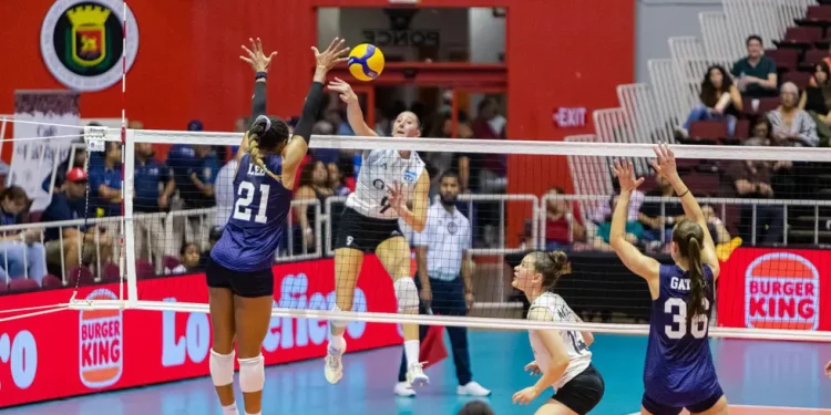 Argentina disputa la final de la Copa Panamericana de vóleibol femenino