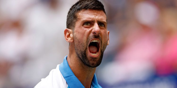 Novak Djokovic es semifinalista del US Open