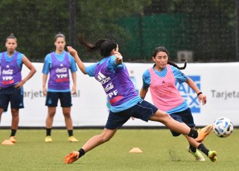 La Selección Argentina tiene las convocadas para jugar en Santa Fe